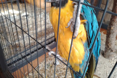 2025-7-21-tabor-podolinec-032