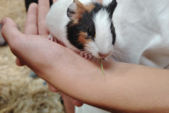 2025-7-21-tabor-podolinec-034