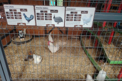 2025-7-21-tabor-podolinec-035